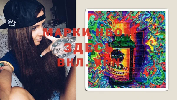 индика Тихвин