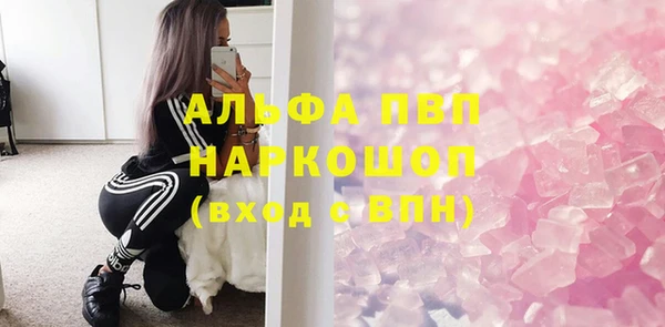 индика Тихвин