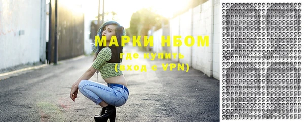 индика Тихвин