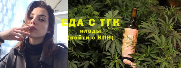 индика Тихвин