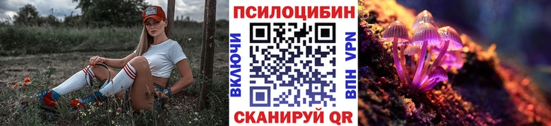 Купить закладки  Шадринск  Галлюциногенные грибы мухоморы 